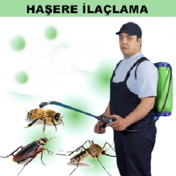 Suluova Böcek İlaçlama